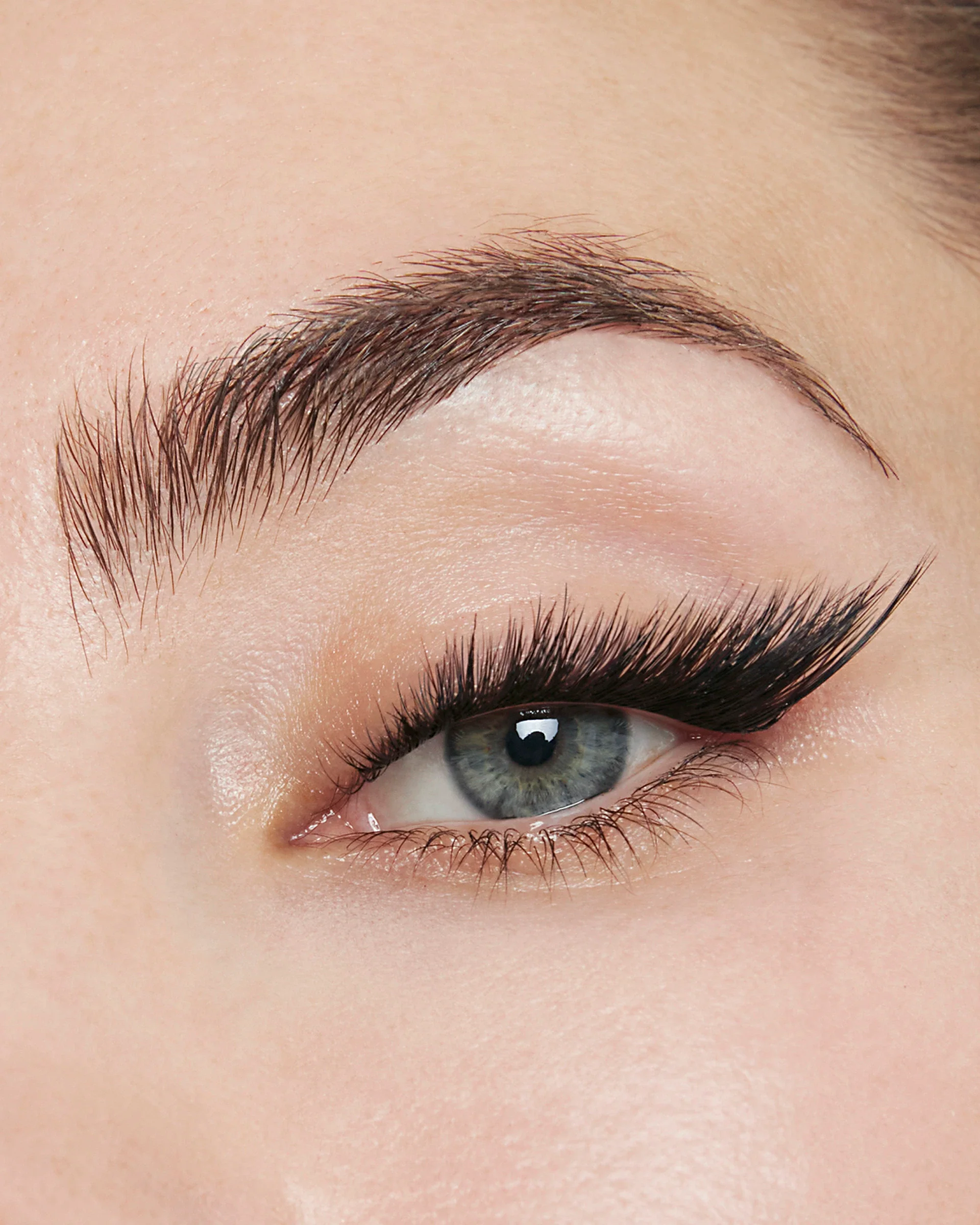 Edge X Lash Refill - Image 5