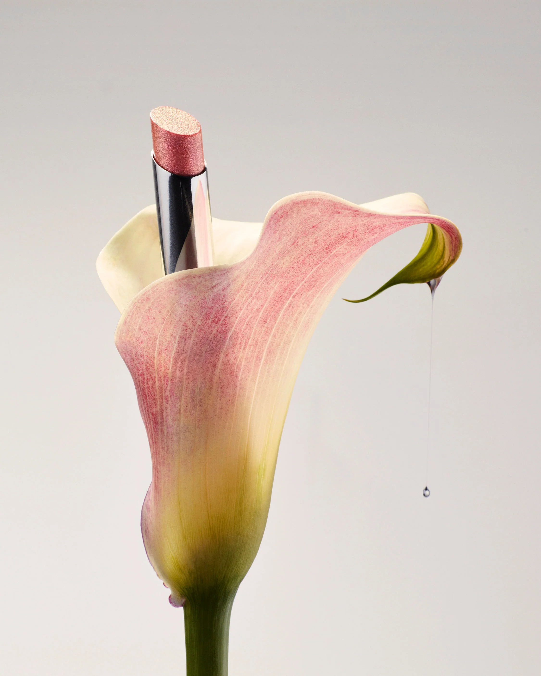 LIPS - Image 7